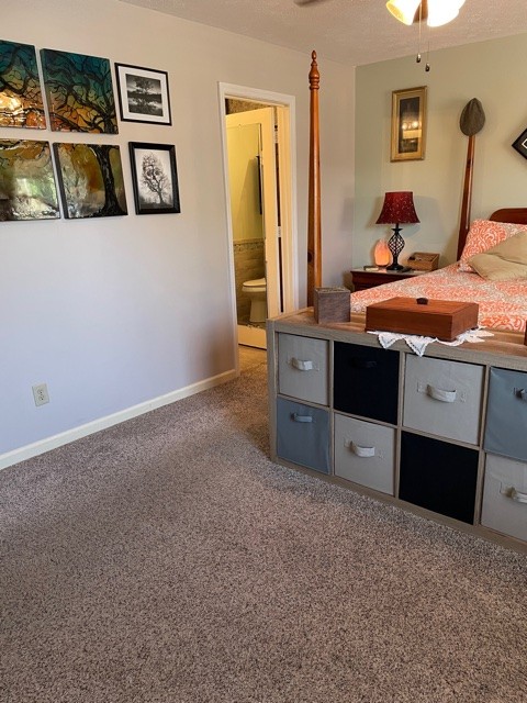 4915 Seminary Road Smyrna, TN 37167 - Photo 19 of 32 Gallery Image 19