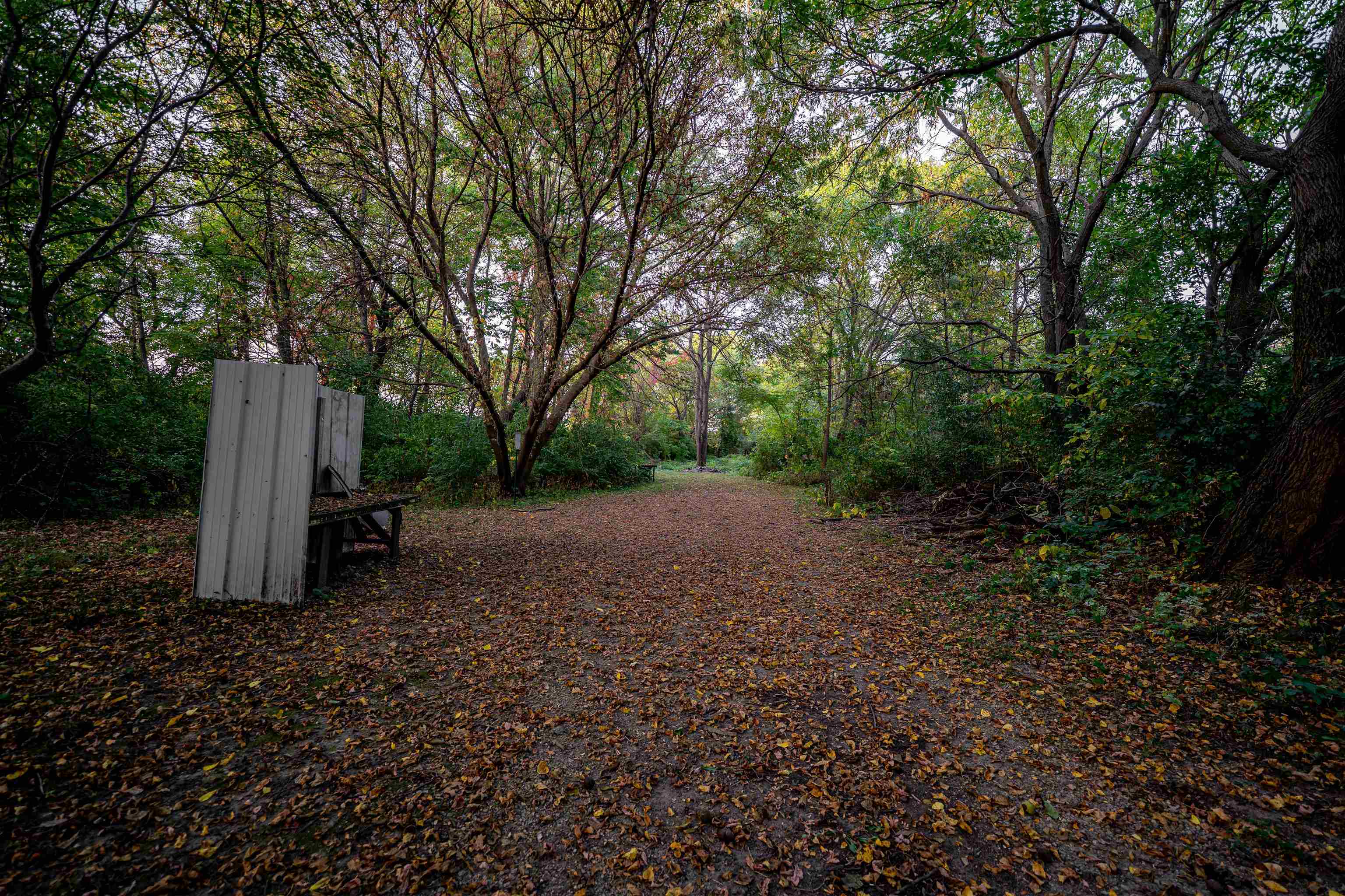 0 Telegraph Road Pecatonica, IL 61063 - Photo 46 of 56 a view of a backyard with large trees