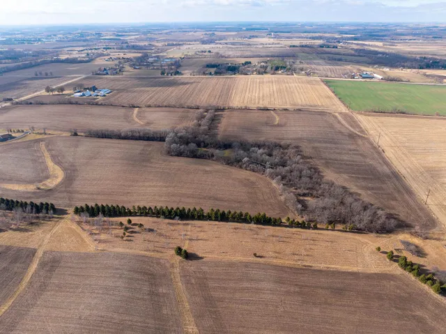 a view of a lake with a garden