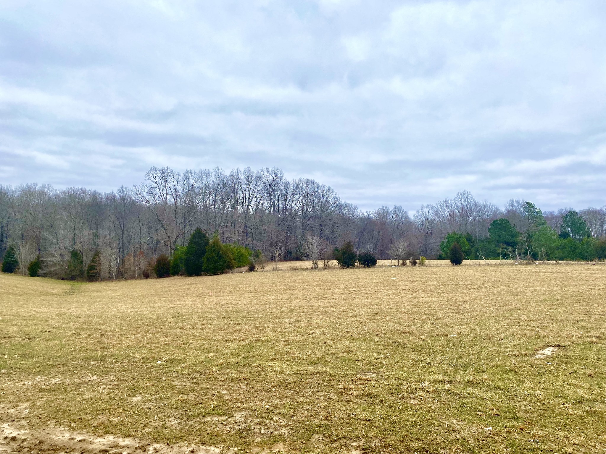 1271 Oak Grove Road Dickson, TN 37055 - Photo 18 of 18 a view of an ocean