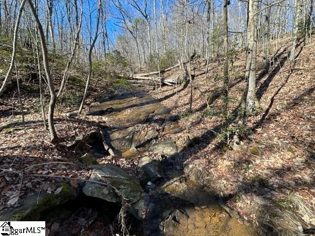 0 Chestnut Ridge Road Greenville, SC 29609 - Photo 3 of 9