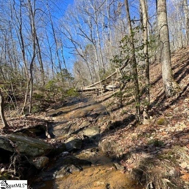 0 Chestnut Ridge Road Greenville, SC 29609 - Photo 4 of 9