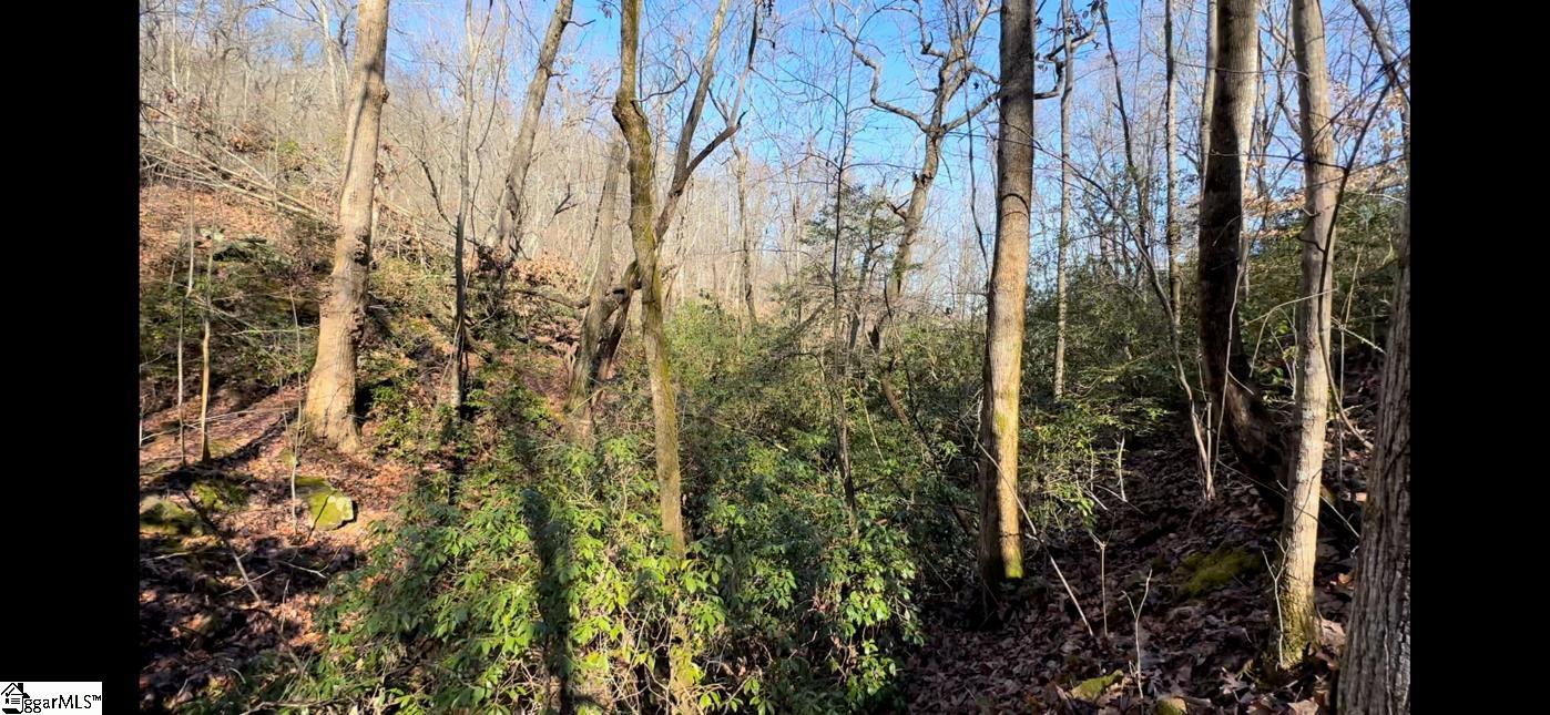 0 Chestnut Ridge Road Greenville, SC 29609 - Photo 5 of 9