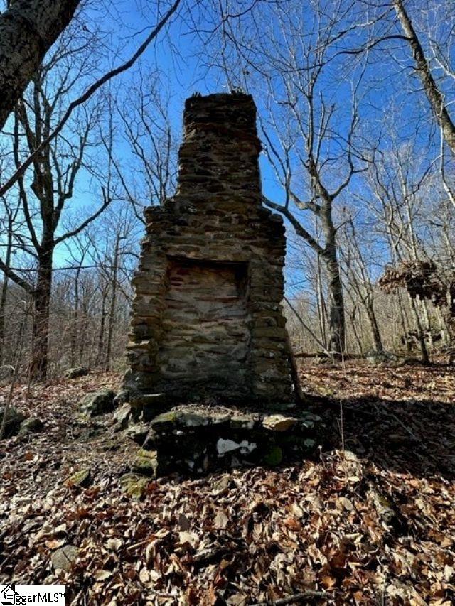 0 Chestnut Ridge Road Greenville, SC 29609 - Photo 6 of 9