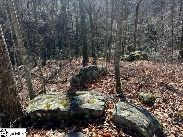 0 Chestnut Ridge Road Greenville, SC 29609 - Photo 8 of 9