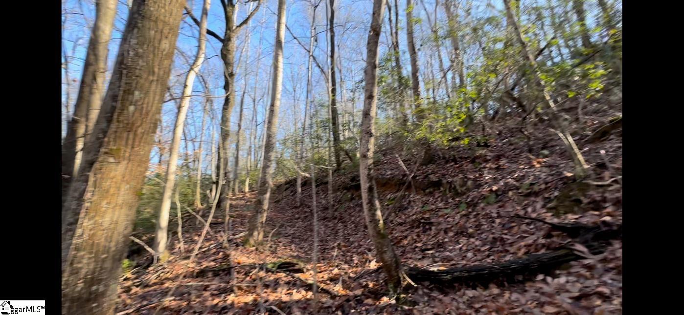 0 Chestnut Ridge Road Greenville, SC 29609 - Photo 9 of 9