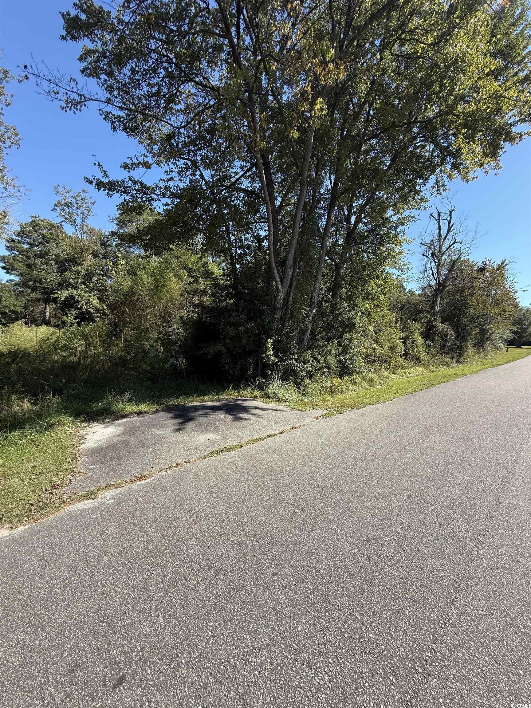 Tbd Plum Tree Lane Conway, SC 29526 - Photo 3 of 6