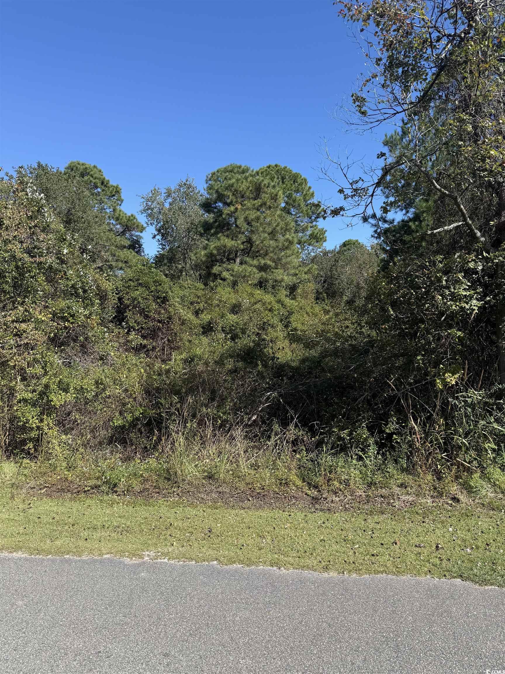 Tbd Plum Tree Lane Conway, SC 29526 - Photo 4 of 6