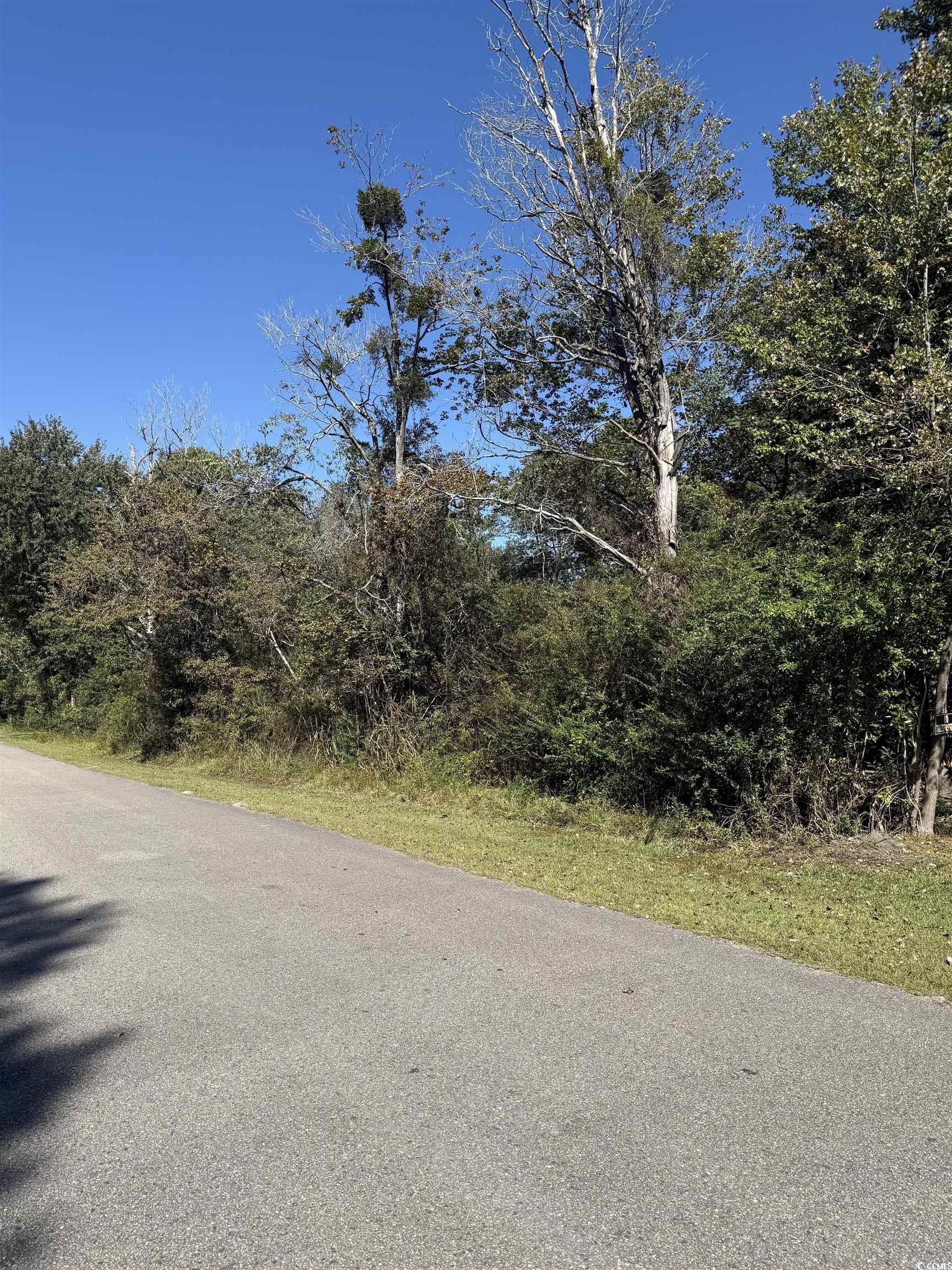 Tbd Plum Tree Lane Conway, SC 29526 - Photo 5 of 6