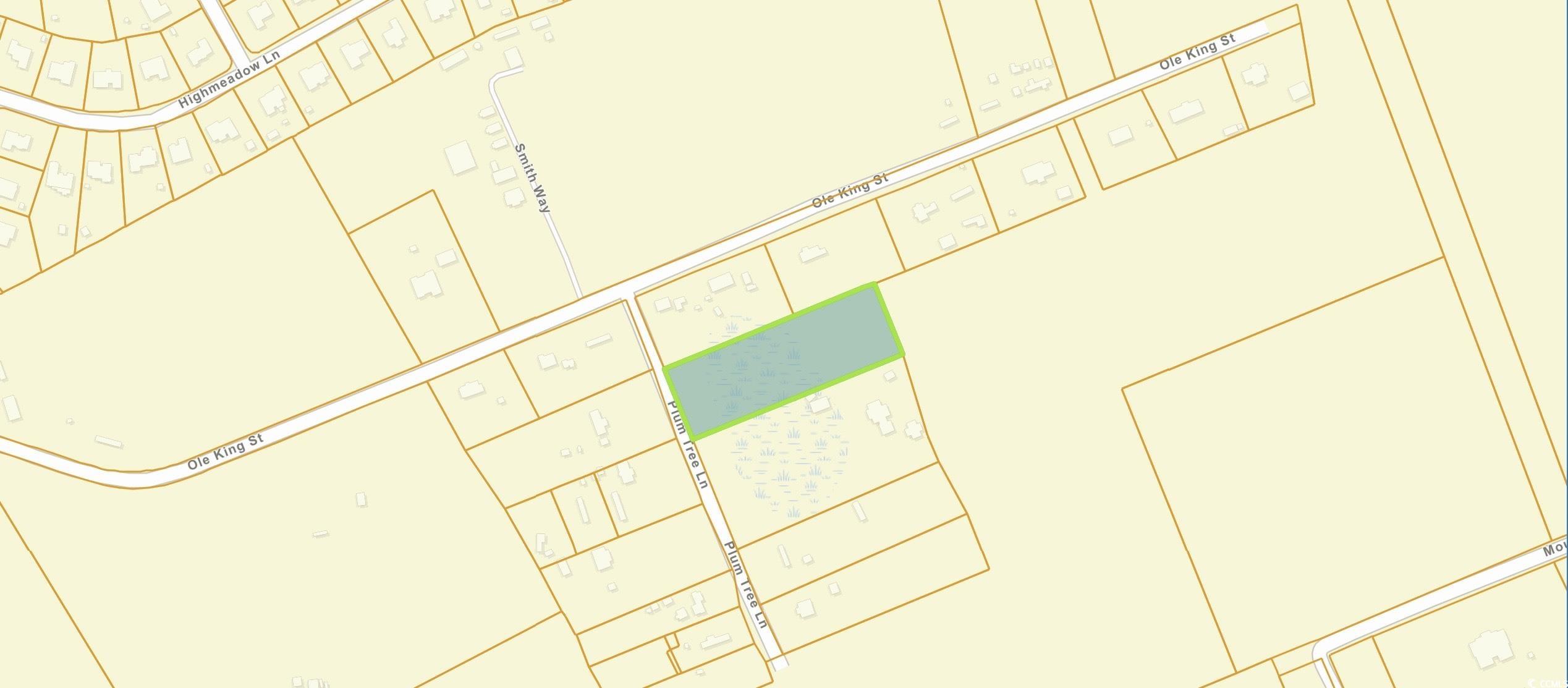 Tbd Plum Tree Lane Conway, SC 29526 - Photo 6 of 6