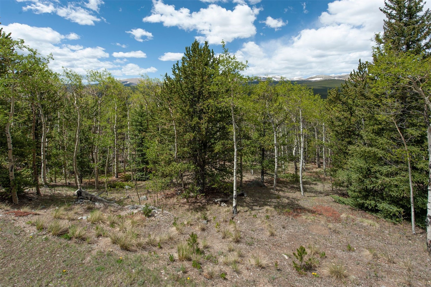 77 Dead Toad Road Alma, CO 80420 - Photo 41 of 44