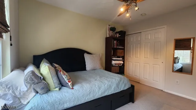 a bedroom with a bed and a walk in closet