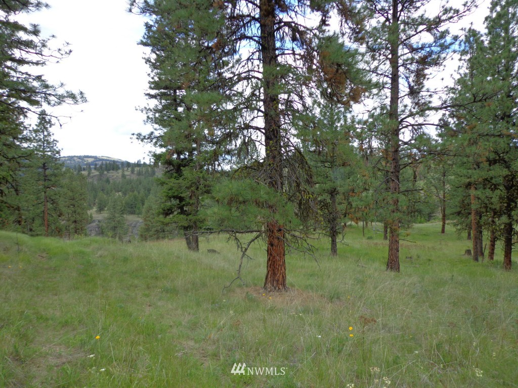100 Sugar Loaf Road Curlew, WA 99118 - Photo 1 of 1 Gallery Image 1