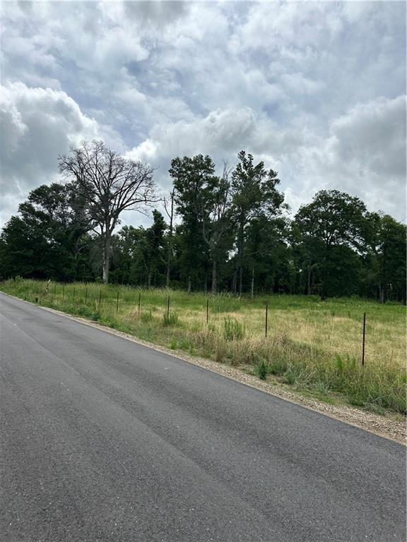 Tbd Old CC Road Albany, LA 70711 - Photo 3 of 6