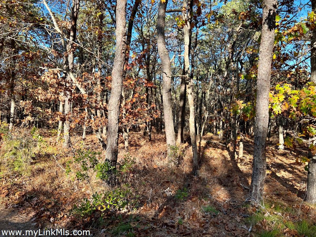 53 Harthaven Road Oak Bluffs, MA 02557 - Photo 7 of 9 a view of yard