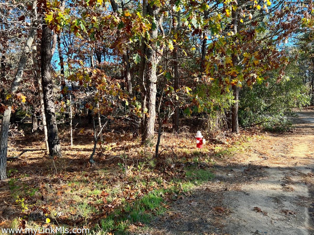53 Harthaven Road Oak Bluffs, MA 02557 - Photo 9 of 9 a backyard of a house with lots of green space