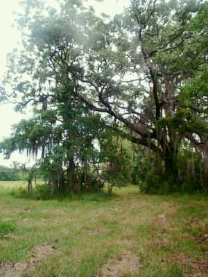 1 Magnolia Ridge Road Boutte, LA 70039 - Photo 2 of 5