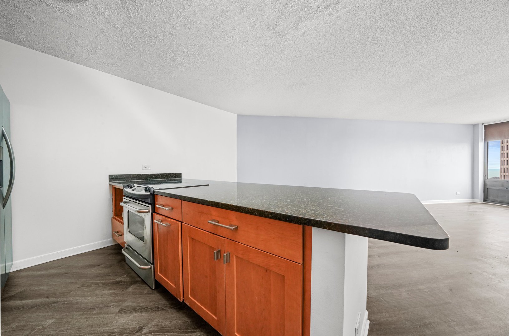 5320 North Sheridan Road, Unit 1007 Chicago, IL 60640 - Photo 5 of 14 Gallery Image 5
