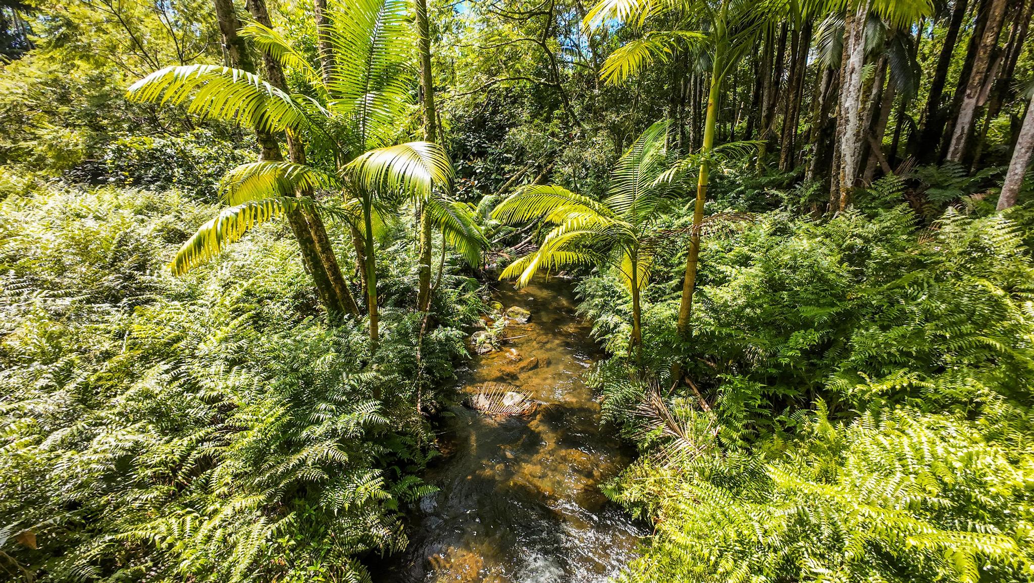 28-433 Overpass Road Pepeekeo, HI 96783 - Photo 8 of 30