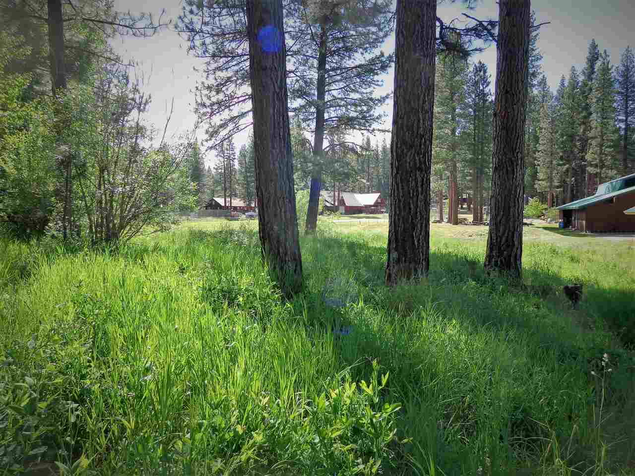 104 Calpine Avenue Calpine, CA 96124 - Photo 14 of 14 Gallery Image 14