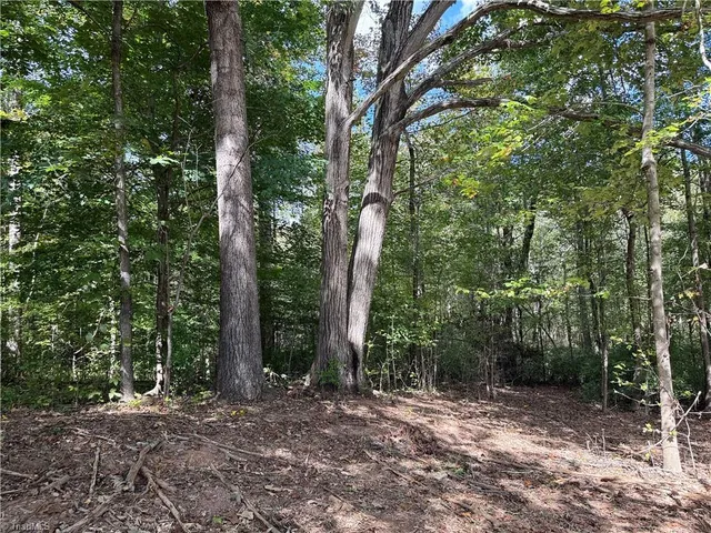 $194,900 | 469 Zeb Ferguson Road, Siler City, NC 27344