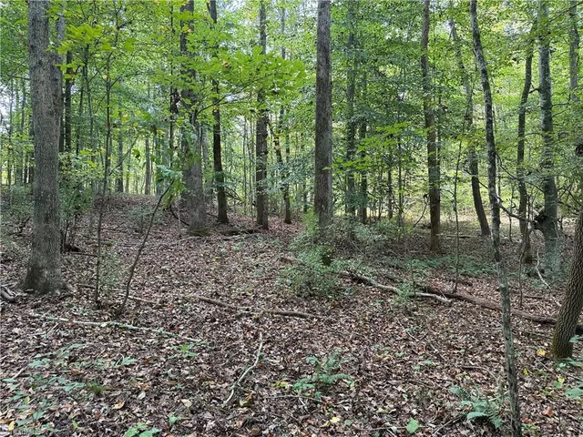 $194,900 | 469 Zeb Ferguson Road, Siler City, NC 27344