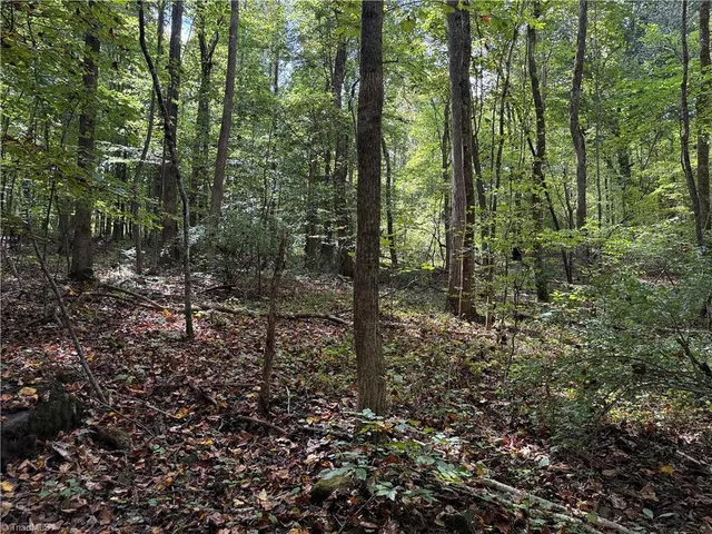 $194,900 | 469 Zeb Ferguson Road, Siler City, NC 27344