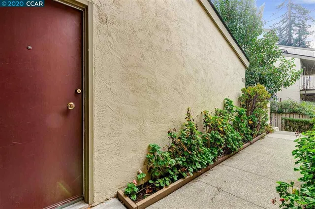 a backyard with potted plants and wooden wall