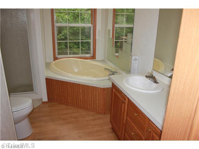 199 Weldons Ridge Trail Mount Airy, NC 27030 - Photo 6 of 11 Master Bath/Spa.