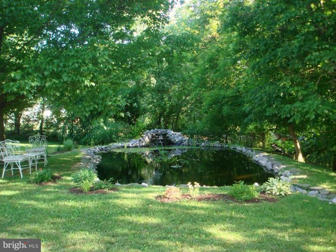 11533 Walnut Point Road Hagerstown, MD 21740 - Photo 12 of 25 POND