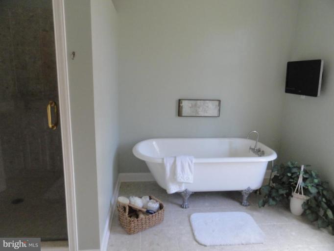 11533 Walnut Point Road Hagerstown, MD 21740 - Photo 24 of 25 Master Bath