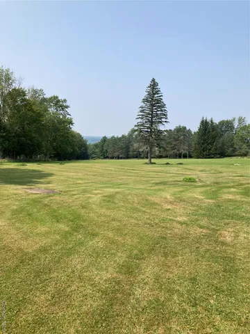 a view of a ocean with a large trees