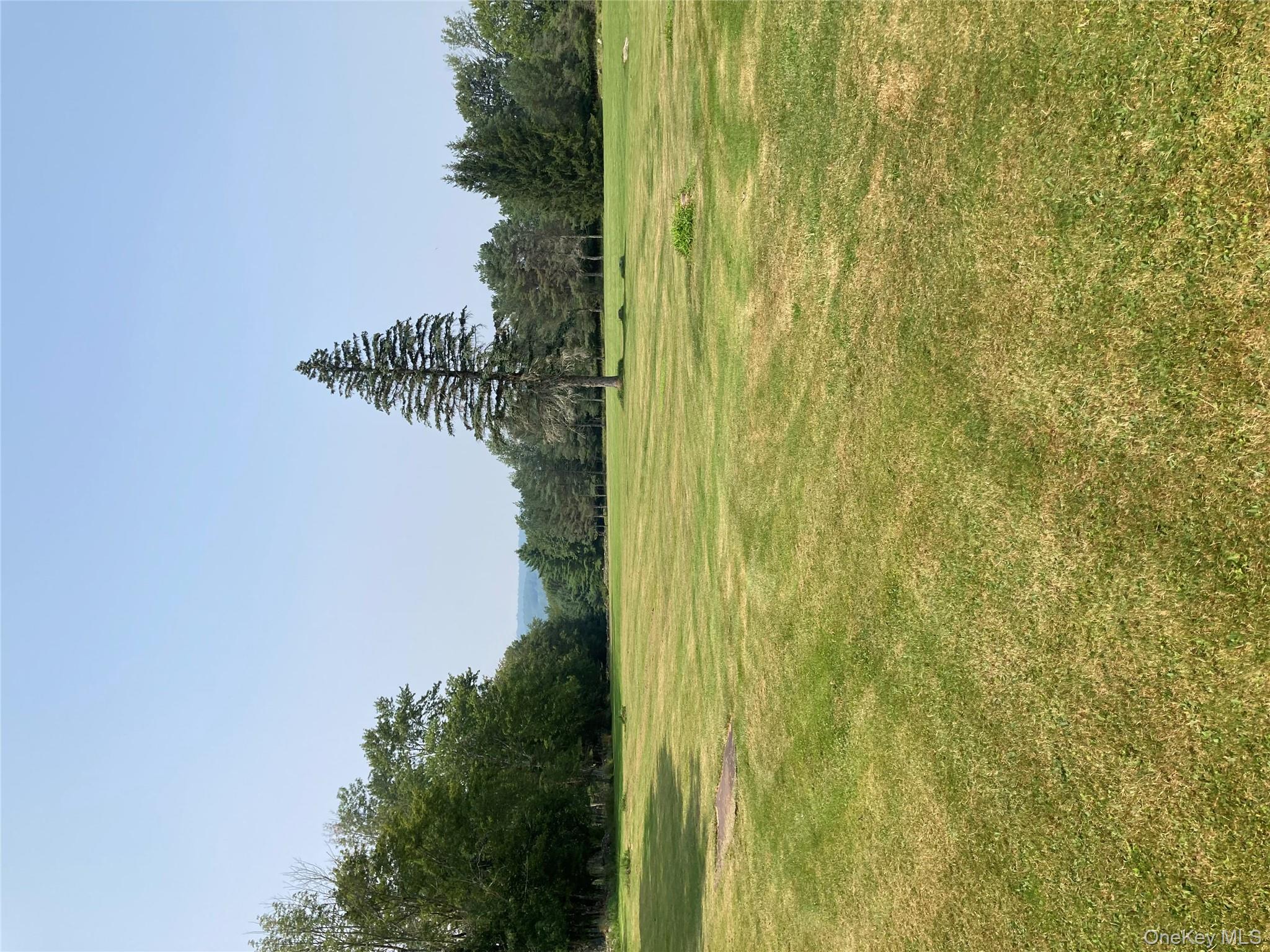 191 Rose Road Woodbourne, NY 12788 - Photo 27 of 32 a view of a ocean with a large trees