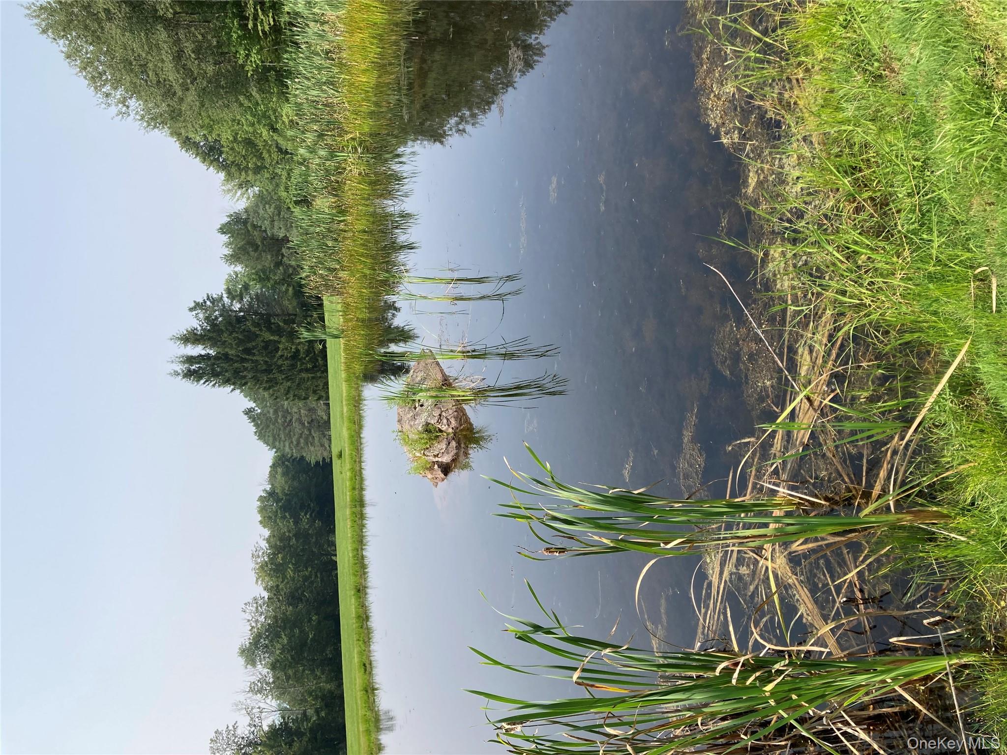 191 Rose Road Woodbourne, NY 12788 - Photo 29 of 32 a view of lake