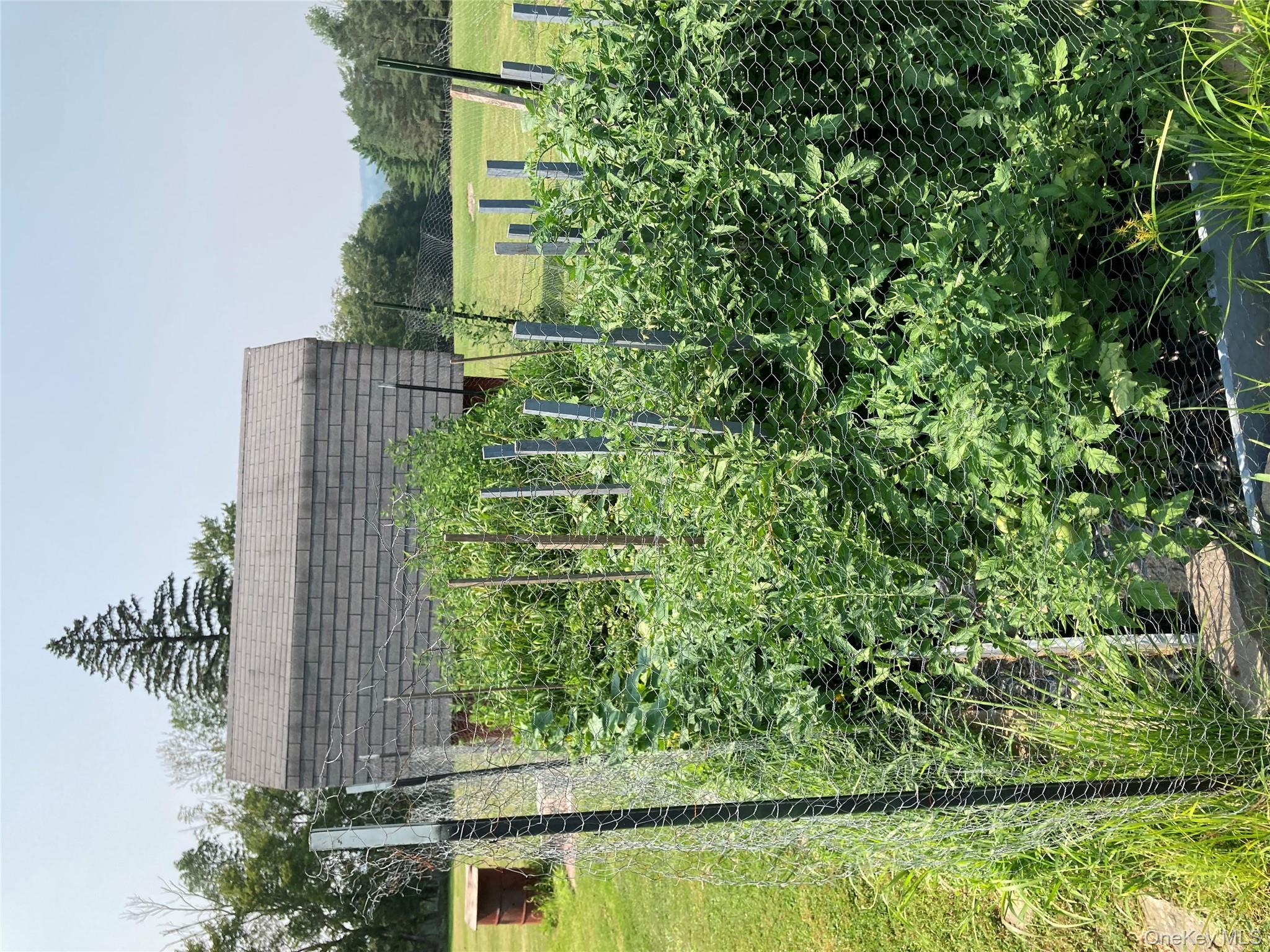 191 Rose Road Woodbourne, NY 12788 - Photo 30 of 32 a view of a garden with an outdoor seating