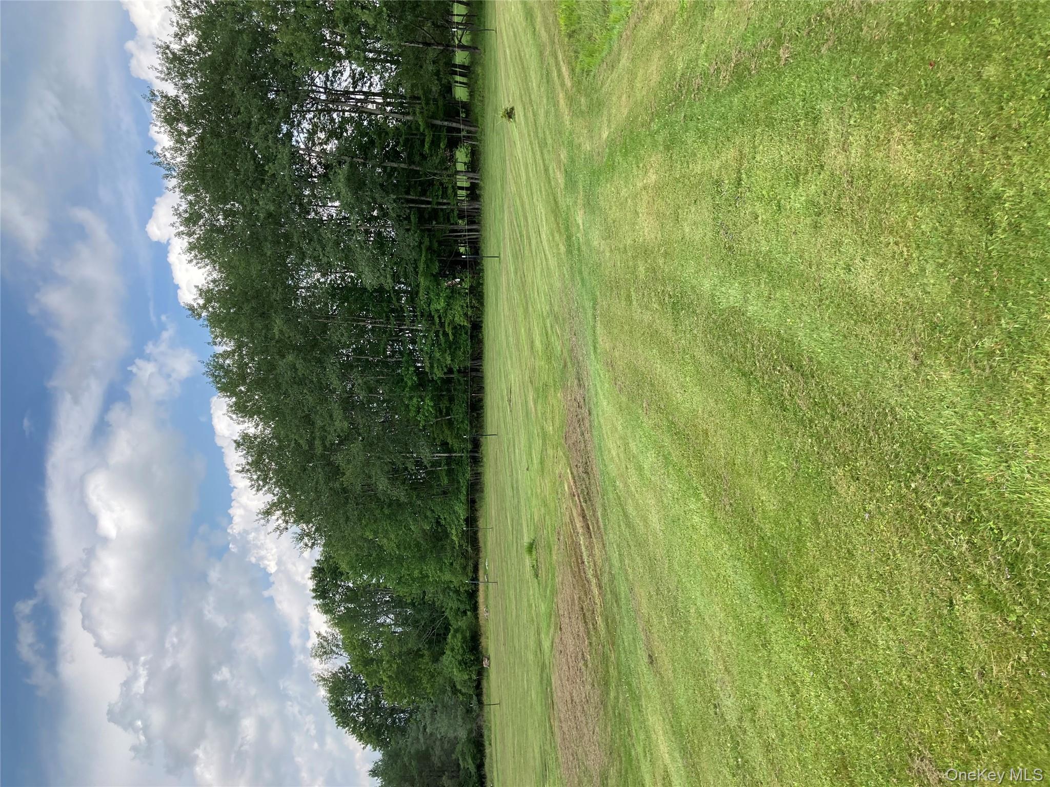 191 Rose Road Woodbourne, NY 12788 - Photo 3 of 32 a view of an ocean with a yard