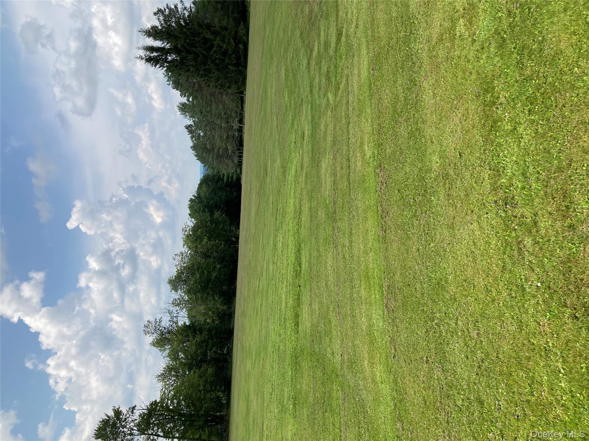 191 Rose Road Woodbourne, NY 12788 - Photo 4 of 32 a view of a lake view