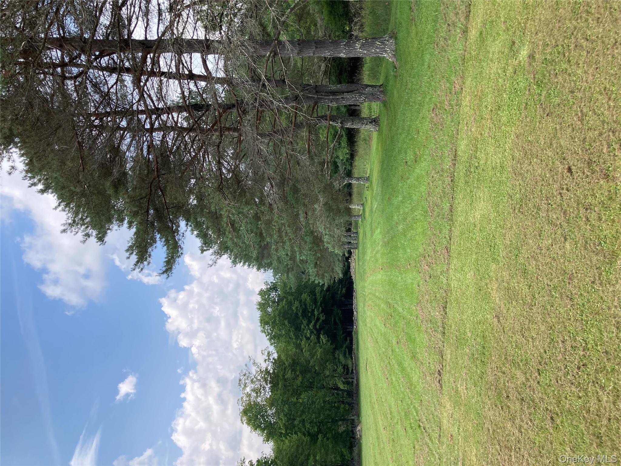 191 Rose Road Woodbourne, NY 12788 - Photo 7 of 32 a view of field with tall trees