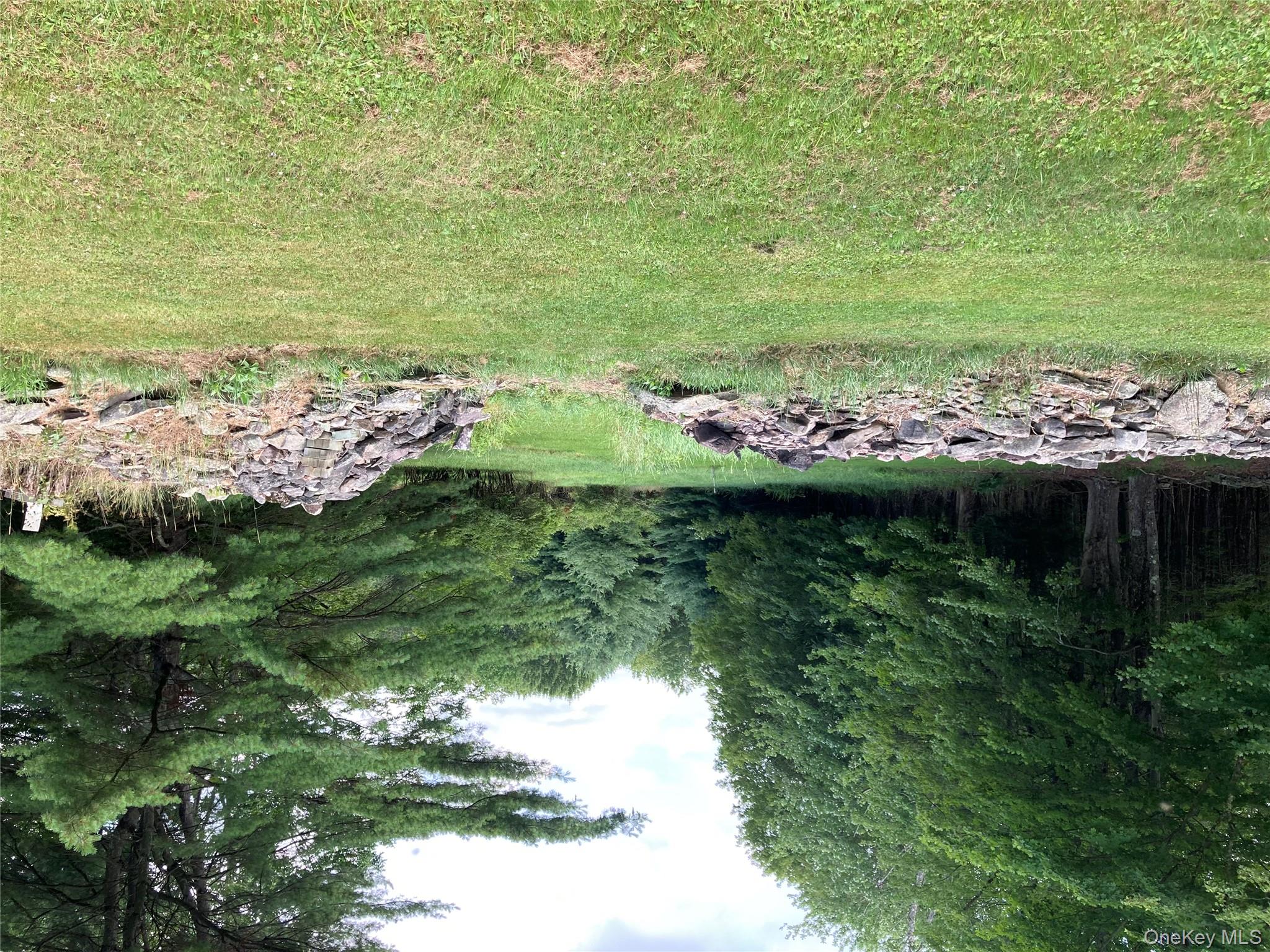 191 Rose Road Woodbourne, NY 12788 - Photo 8 of 32 a backyard of a house with lots of green space