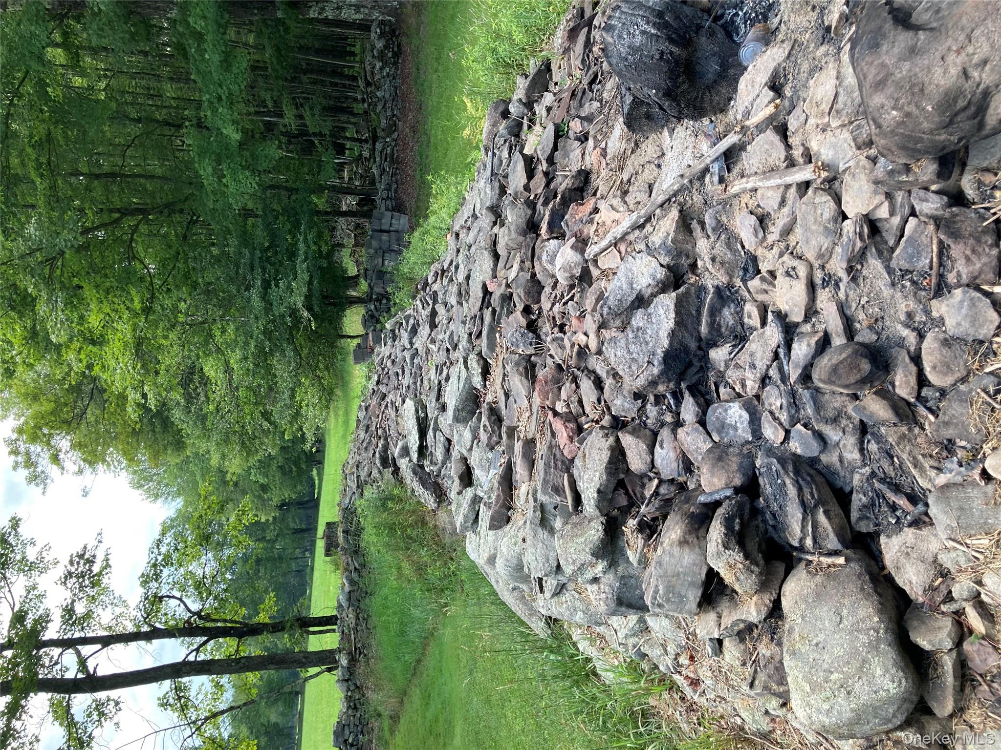 191 Rose Road Woodbourne, NY 12788 - Photo 10 of 32 a view of a park with a tree