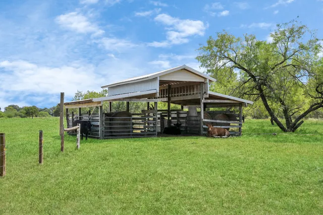 a view of a green field