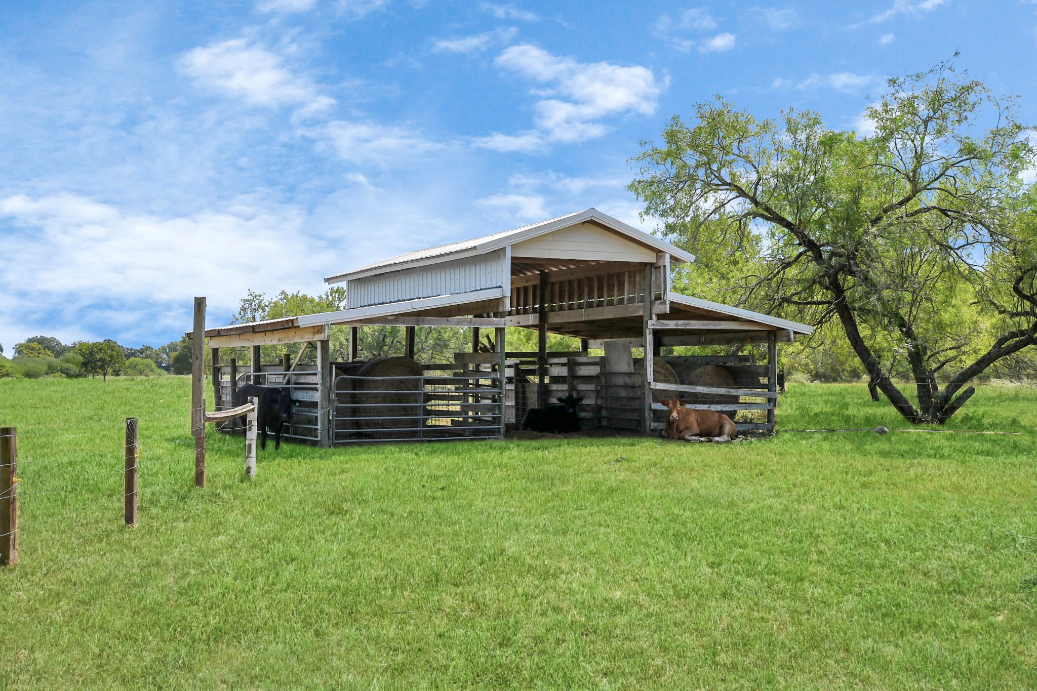 5360 Muske Lane Pattison, TX 77423 - Photo 35 of 44 a view of a house with backyard and a garden