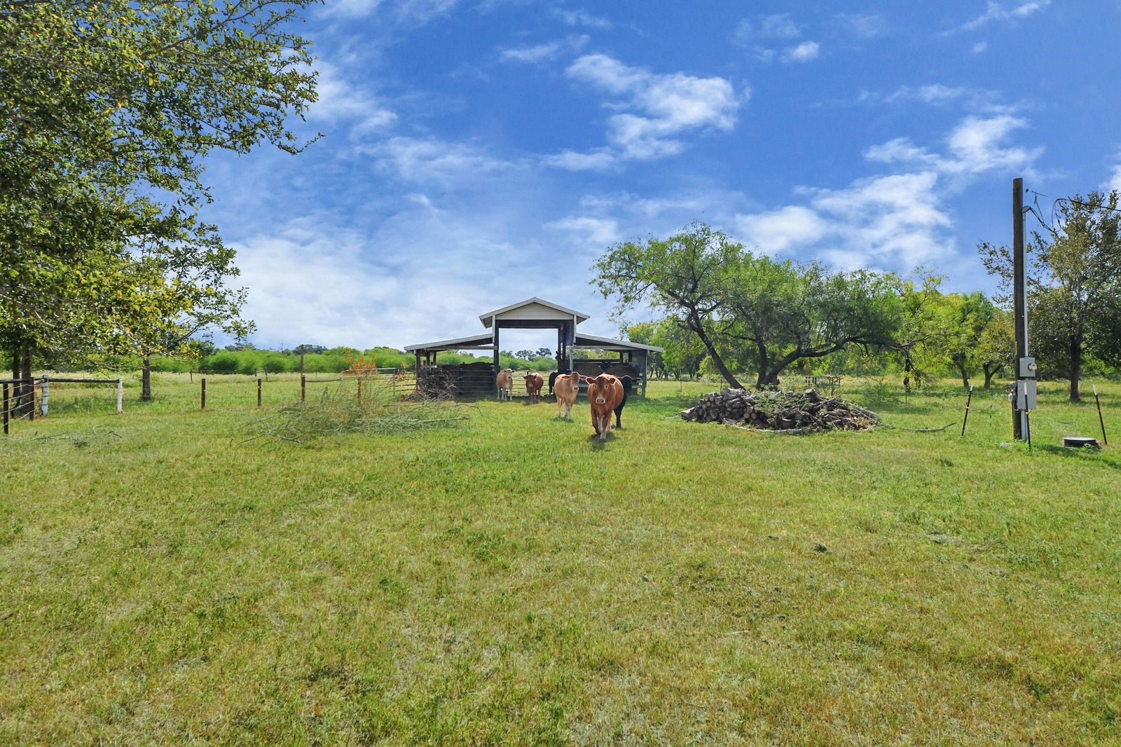 5360 Muske Lane Pattison, TX 77423 - Photo 36 of 44 a view of a green field