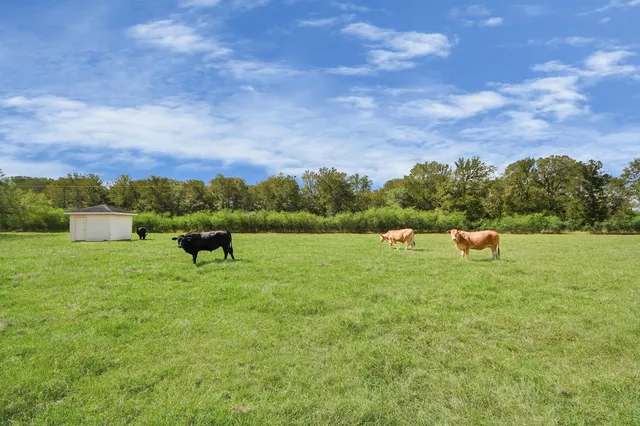 $1,300,000 | 5360 Muske Lane, Pattison, TX 77423