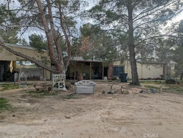 a view of a backyard with table and chairs and a large tree