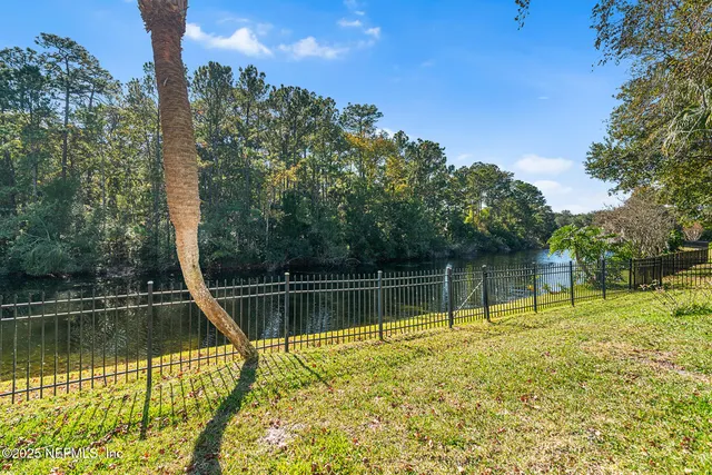 a view of a lake with a large trees