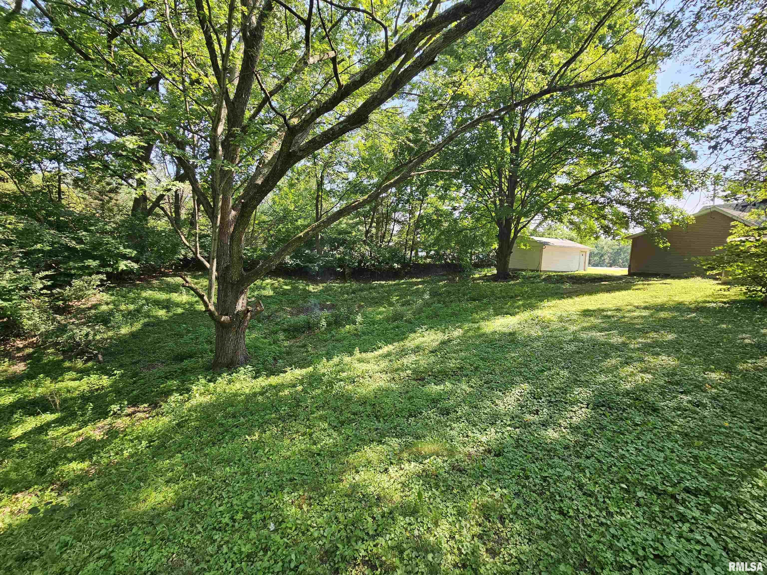 718 North Coal Street Colchester, IL 62326 - Photo 18 of 25