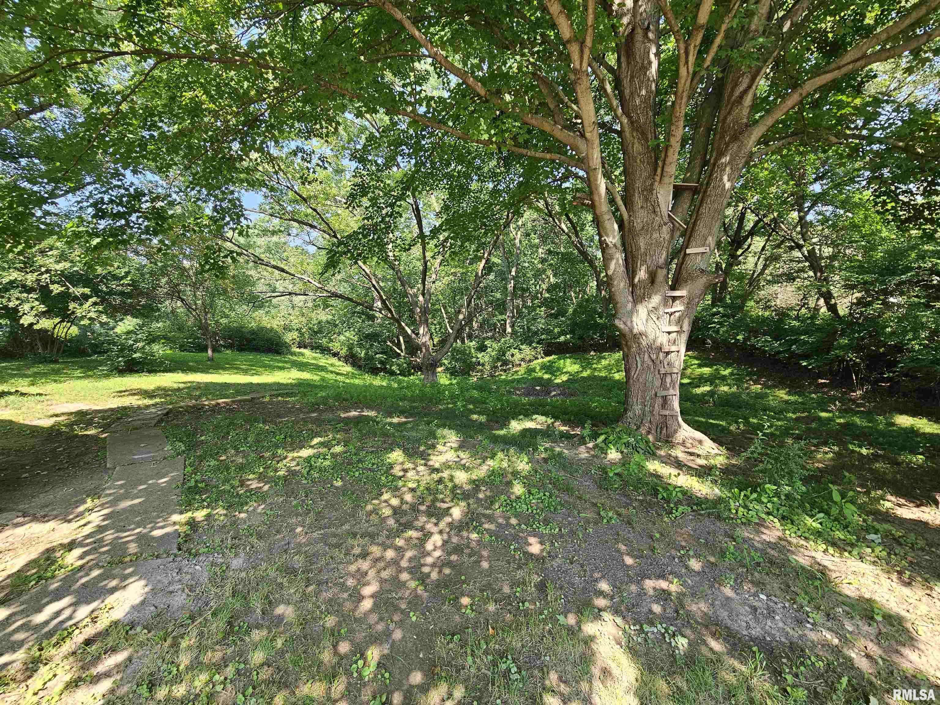 718 North Coal Street Colchester, IL 62326 - Photo 19 of 25