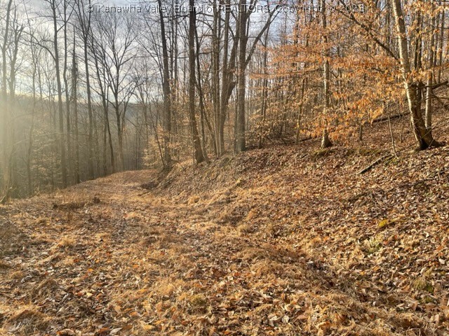0 Six Mile Road Midkiff, WV 25540 - Photo 8 of 12 Gallery Image 8