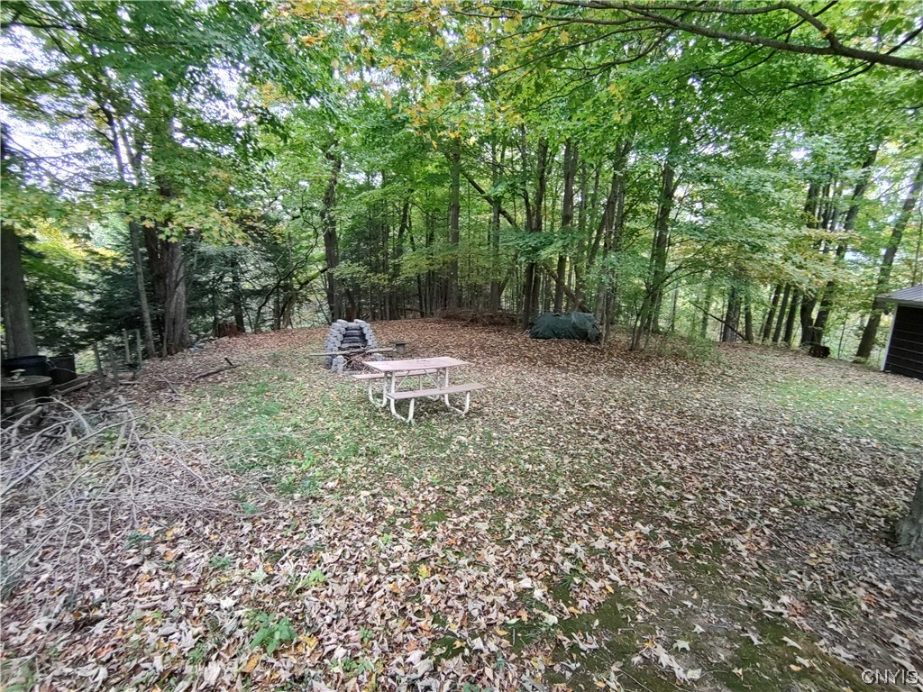 361 Summit Road Newport, NY 13416 - Photo 48 of 49